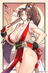 mai shiranui from fatal fury by daiki sketch