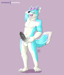 absurd_res anthro balls bodily_fluids canid canine canis domestic_dog dripping erection genital_fluids genitals hi_res husky katxfish male mammal nipples nordic_sled_dog nude open_mouth penis precum precum_drip presenting solo spitz