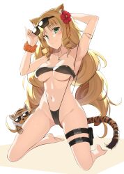 1girls 2023 arknights big_breasts black_bikini blonde_hair blush breasts cat_ears cat_tail female female_only green_eyes hi_res long_hair looking_at_viewer ohta_yuichi sling_bikini slingshot_swimsuit sunglasses swire_(arknights) thick_thighs tiger_ears tiger_girl tiger_tail white_background wide_hips