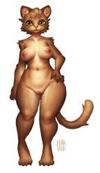 absurd_res anthro brown_body brown_fur domestic_cat felid feline felis female fur haruuu hi_res mammal solo tagme