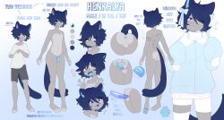 absurd_res anthro anus ass asusya balls blue_anus blue_eyes blue_hair blush clothed clothing digital_media_(artwork) domestic_cat english_text erection felid feline felis fur genitals girly grey_body grey_fur hair henkalya_(princehenkalya) hi_res humanoid_genitalia humanoid_penis looking_at_viewer male mammal model_sheet nude open_mouth pawpads paws penile penis penis_extender reference_image simple_background small_penis smile solo standing tail teeth text