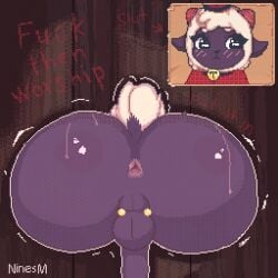 1boy anthro anus ass balls big_butt black_body black_eyes black_skin blush bovid bovine butt_focus caprine cult_of_the_lamb digital_media_(artwork) english_text fur genitals girly hi_res kabeshiri lamb_(cult_of_the_lamb) male male_only mammal ninesm penis photo pixel_(artwork) presenting presenting_anus presenting_hindquarters public public_use rear_view sexual sexual_barrier_device shaded shaking sheep short_tail solo solo_male tail text through_wall white_body white_fur wool_(fur) y_anus