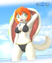 anthro beach bikini canine female female_protagonist freedom_planet freedom_planet_2 milla_basset tbwinger92 video_games