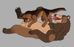 69_position anatomically_correct anatomically_correct_genitalia anatomically_correct_penis animal_genitalia animal_penis balls bear big_balls big_penis bitterstrawberries bodily_fluids brown_bear brown_body brown_fur canid canine canine_genitalia canine_penis canis domestic_dog duo erection fellatio feral feral_on_feral fur genitals german_shepherd grizzly_bear hair herding_dog hi_res hybrid kuruk_(character) male male/male male_penetrated male_penetrating male_penetrating_male mammal mane mane_hair no_humans oral oral_on_backwards_penis oral_penetration pastoral_dog penetration penile penile_penetration penis penis_backwards penis_in_mouth quadruped sex sheath size_difference third-party_edit thomas_(ragnar9th) ursine ursine_penis wolf