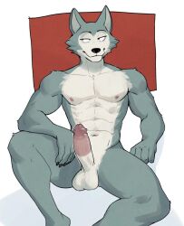 1boy abs anthro balls ballsack beastars big_balls big_penis body_fur canine circumcised circumcision_scar erection foreskin foreskin_folds genital_scar genitals grey_fur hi_res humanoid_genitalia humanoid_penis intact jrjresq legoshi_(beastars) male male_nipples male_only mammal muscles muscular_male nude_male pecs penis retracted_foreskin scar schrodinger's_foreskin scrotum smile smooth_penis solo testicles uncut white_countershading wolf