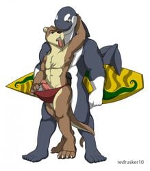 2010 anthro banana_hammock cetacean furry gay male male_only marine no_humans orca otter penis redrusker speedo underwear yaoi