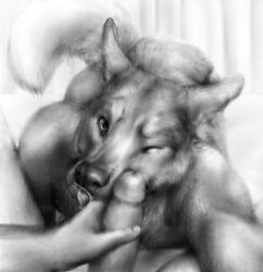 anakuro black_and_white canine canine erection fellatio gay husky licking licking_lips male monochrome oral oral_sex penis pov sex shy submissive tongue