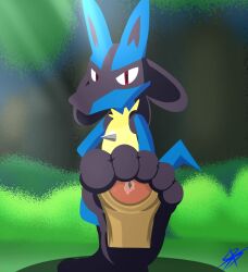 2022 anthro black_body black_feet black_fur blue_body blue_fur blue_tail blurred_background duo erection feet female first_person_view foot_fetish foot_focus foot_play footjob forest forest_background fur generation_4_pokemon genitals hi_res human humanoid_feet lucario male male/female mammal multicolored_body multicolored_fur nature nature_background nintendo penis plant plantigrade pokemon pokemon_(species) prick_ears red_eyes sex shadow signified-blue snout spikes standing tail toe_curl tree two_tone_body two_tone_fur yellow_body yellow_fur