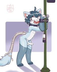 2022 blue_body blue_fur blue_hair bound crosswalk cuffed_wrists exhibitionism felid feline foreskin frosh_(furoroshu) fur genitals hair hi_res kemono lightpole long_tail male_only mammal misterdonut open_mouth penis tail wrapped_tail