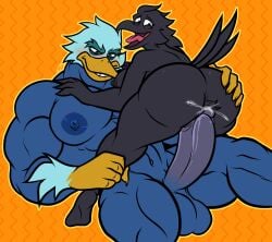 absurd_res albertcrow ambiguous_fluids anatid anseriform anthro anthro_on_anthro anthro_penetrated anthro_penetrating anthro_penetrating_anthro antidaeon ass avian balls beak big_butt big_dom_small_sub big_pecs big_penis bird black_body black_feathers blue_body blue_feathers blush bodily_fluids breasts chaotic corvid corvus_(genus) crow dominant duck duo elfein_(character) erection feathers female female_penetrated genital_fluids genitals hi_res humanoid_genitalia humanoid_penis male male/female male_penetrating male_penetrating_female manly muscular muscular_anthro muscular_male nipples nude oscine passerine pecs penetration penile penile_penetration penis penis_in_pussy prodding pussy_juice sex simple_background size_difference smaller_penetrated third-party_edit vaginal_penetration yellow_beak