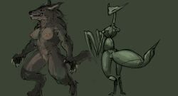 anthro areola arthropod arthropod_abdomen arthropod_abdomen_genitalia arthropod_abdomen_pussy breasts canid canine claws duo female female_anthro fur genitals grey_body grey_fur grin hi_res insects looking_at_viewer mammal mandibles mantis meandraco nipples pussy red_eyes sharp_claws sharp_teeth simple_background smile teeth were werecanid werecanine werewolf