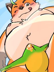 1boy anthro belly blush canid canine clothed clothing erection erection_under_clothing fox fur green_eyes hi_res iyo_(tamacolle) licking licking_lips low-angle_view male male_only mammal moobs navel nipples one_eye_closed orange_body orange_fur overweight siokun_dayo solo speedo swimwear tamacolle tongue tongue_out wink