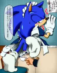 anthro clothes color cup disembodied_hand fur furry hedgehog holding male male_only penis shoppaaaa sonic_(series) sonic_the_hedgehog tagme translation_request