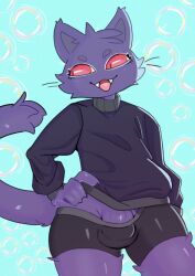 anthro blue_background bottomwear bubble bulge clothed clothing detailed domestic_cat fangs felid feline felis femboy fur genitals girly hand_on_hip looking_away male mammal open_mouth penis pink_eyes purple_body purple_fur shorts simple_background solo standing sweater teeth topwear vroorv