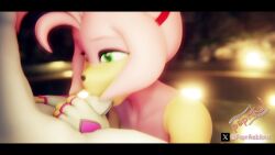 3d amy_rose amy_rose_(warfaremchine) animated anthro anthro_on_anthro anthro_only blowjob fellatio mp4 no_sound oral paprikablend sonic_(series) sonic_the_hedgehog_(series) tagme unseen_male_face video