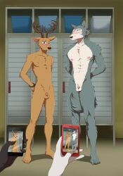 absurd_res anthro balls beastars blush canid canine canis deer genitals hi_res humiliation legoshi_(beastars) louis_(beastars) male mammal micropenis nude penis penis_humiliation small_penis small_penis_humiliation tommysamash wolf