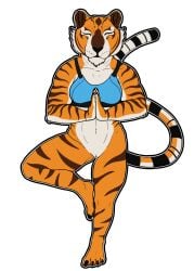 abs anthro belly bengal_tiger bottomless bottomless_female bottomwear bra breasts claws clothed clothing dreamworks feet felid feline female genitals hi_res kung_fu_panda mammal master_tigress muscular on_one_leg pantherine pants paws pussy rebeldragon101 solo sports_bra standing stripes tiger underwear yoga