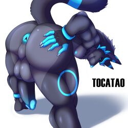 anthro anus ass balls big_butt eeveelution entei gay generation_2_pokemon genitals hi_res hibryd humanoid_balls humanoid_genitalia humanoid_penis johan_(tocatao) legendary_pokemon male male/male nintendo penis perspective pokemon pokemon_(species) solo tocatao umbreon