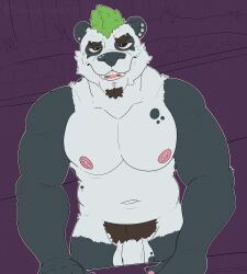 absurd_res anthro areola balls bear brown_hair facial_hair fur genitals giant_panda goatee green_hair hair hi_res highlights_(coloring) looking_at_viewer male mammal nipples nude penis piercing pubes simple_background sleepypandaburr smile solo spots spotted_body teeth_showing white_body white_fur