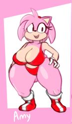 amy_rose big_breasts cropped_image edited female_only green_eyes looking_at_viewer plaga sega sonic_(series)