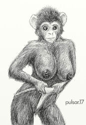 2007 breasts chimpanzee clothing female looking_at_viewer mammal monkey monkey_girl nipples plain_background primate pulsar simple_background underwear white_background