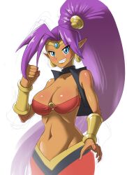 1girls bare_arms bare_shoulders blue_eyes bra breasts cleavage cowboy_shot cropped_jacket dark-skinned_female dark_skin earrings facing_viewer female female_only fist genie_girl grin high_ponytail jewelry large_breasts long_hair looking_at_viewer midriff no_bra pants pointy_ears ponytail purple_hair shantae shantae_(character) shantae_and_the_pirate's_curse shiny_skin simple_background sleeveless smiling solo sonicboom30813 standing teeth underwear very_long_hair vest white_background