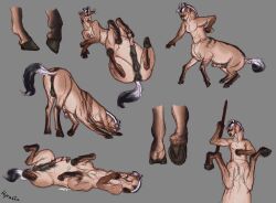 animal_genitalia animal_penis anus bodily_fluids centaur cum equid equid_taur equine_anus equine_balls equine_genitalia equine_penis genital_fluids genitals hi_res hooves humanoid_taur hyracia male mammal mammal_taur masturbation pathfinder penis solo taur