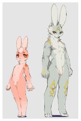 absurd_res anthro chu_(artist) front_view fur genitals gold_markings grey_body grey_fur head_tuft hi_res kemono lagomorph leporid looking_at_viewer male mammal markings model_sheet penis pink_body pink_fur rabbit red_spots size_difference small_feet spots tiptoes tuft