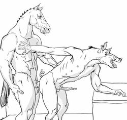 2boys anal boar equine from_behind furronika gay male male_only monochrome multiple_boys penetration porcine