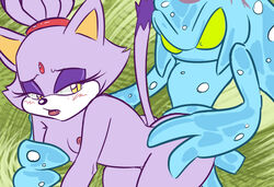 anthro blaze_the_cat cat chaos_(sonic) feline female fur male mammal saltcore sonic_(series) straight tagme