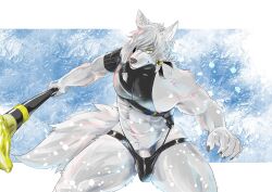 abs absurd_res another_eidos_of_dragon_vein_r anthro biceps canid canine canis clothed clothing fur genitals grey_body grey_fur hi_res male mammal muscular muscular_anthro muscular_male navel pecs penis penis_base rotton99 skimpy snow solo staff straining_underwear theodor_(anothereidos_r) thong underwear wolf