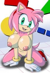 1girls amy_rose big_breasts boots breasts female furry gloves kneeling pussy sega smiling sonic_(series) sonicguru