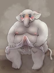 anthro balls belly big_penis blush elephant elephantid erection erection_under_towel genitals hi_res hizen_(tamacolle) male mammal moobs nipples overweight penis proboscidean proboscis_(anatomy) sauna shinoda_hamazaki solo tamacolle towel towel_lift trunk_(anatomy) tusks