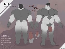 anthro ass balls bear english_text erection eyebrows feet freddyv7205172 genitals giant_panda hi_res humanoid_genitalia humanoid_penis lux_(freddyv7205172) male mammal model_sheet muscular muscular_anthro muscular_male nipples penis pubes solo solo_male text