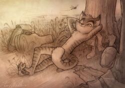 3_toes anthro arms_behind_head bag convenient_censorship dragonfly feline lackadaisy laying_down male naked official_art rocky_rickaby tail tracy_j._butler unclothed