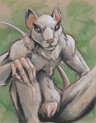 2014 anatomically_correct anatomically_correct_pussy anthro colored_pencil_(artwork) coypowers female guild_wars guild_wars_2 looking_at_viewer mammal pussy rat rodent skritt solo traditional_media_(artwork) video_games