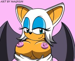 anthro bat breasts cel_shading female female_only front_view gloves huge_eyes magnum_3000 nipples rouge_the_bat side_mouth smile solo sonic_(series) tagme toony