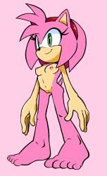 amy_rose big_feet breasts feet female furry green_eyes hairband hedgehog nude nude_female pink_fur pussy randomguy999 sega small_breasts smile sonic_(series)