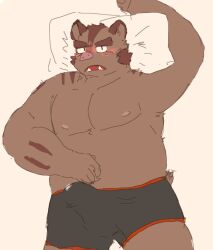 2023 anthro belly blush bodily_fluids brown_body bulge clothed clothing erection erection_under_clothing genital_fluids hermann_(knights_college) hi_res kemono knights_college lying male mammal moobs nipples overweight overweight_male pillow precum solo suid suina sus_(pig) underwear wild_boar youzo3322