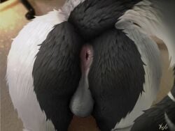 anthro anus ass backsack balls close-up fur genitals hi_res kiloart male presenting presenting_anus presenting_hindquarters reese_(sergal) sergal solo tail