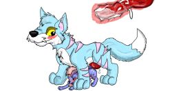 anal erection feral feral_on_feral gay interspecies knot lupe male male/male neopets penis tagme unknown_artist xweetok