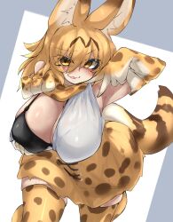 big_breasts bra breasts breasts_out kemono_friends looking_at_viewer serval serval_(kemono_friends) serval_ears serval_tail skirt smiling urisaba