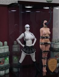 3d bound bound_arms bound_legs completely_nude completely_nude_female devil_may_cry humiliation lady_(devil_may_cry) mannequin nude nude_female thejpeger trophy_case