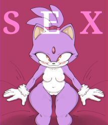 1girls blaze_the_cat breasts colono featureless_breasts female furry gloves mostly_nude nude_female pussy sega sitting smile sonic_(series) thick_thighs