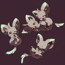 ass female halsione male minccino penis pokemon pokemon_(species) pussy straight