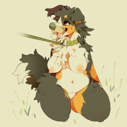 2020 anthro bernese_mountain_dog big_breasts bondage breasts brown_body brown_fur brown_tail canid canine canis chest_tuft collar collar_only countershading d1cknballs digital_media_(artwork) domestic_dog female full-length_portrait fur grass green_collar grey_nose hi_res kneeling leash leashed_collar lulu_(thorn_paw) mammal markings mole_(marking) molosser mountain_dog navel nipples nude open_mouth open_smile orange_body orange_fur petplay pink_nipples pink_tongue plant portrait roleplay simple_background slightly_chubby slightly_chubby_anthro slightly_chubby_female smile solo swiss_mountain_dog tail tan_background tan_body tan_breasts tan_countershading tan_fur tan_tail teeth tongue tuft