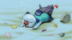 oshawott pokemon pokemon_(species) shellder tagme