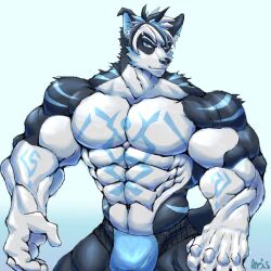 abs anthro_male ariswuffo blue_eyes canine hair male markings muscles muscular muscular_anthro muscular_male