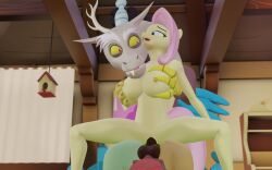 1boy 1girls 3d 3d_(artwork) anthro anthro_on_anthro balls breasts chimera discord_(mlp) draconequus duo equid equine female fluttershy_(mlp) friendship_is_magic hasbro male mammal my_little_pony pegasus penis pussy sex shadart source_filmmaker vaginal_penetration