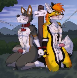 after_sex animal_genitalia animal_penis anthro balls black_body black_fur blue_eyes blush bodily_fluids bound brown_body brown_fur canid canine canine_genitalia canine_penis canis collar collar_only countershade_face countershade_torso countershading cum cum_on_chest cum_on_face duo fox free_use fur gay genital_fluids genitals grey_body grey_fur hair half-erect hands_tied male male/male male_only mammal mountain multicolored_body multicolored_fur nude offscreen_character orange_hair outside peeing penis public public_use sheath sign skylardoodles smile tail text urine urine_on_balls urine_on_belly urine_on_chest urine_pool watersports white_body white_fur wolf yaoi yellow_body yellow_fur